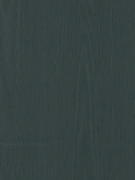 (2368) HR - CT58 Faded Grey  - (Mat)