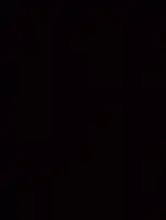(2374) HR - J5 Lacquered black - (Glanzend)