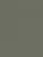(2284) NH29 - Truffle