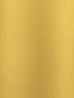 (2608) NL2 - Mirror Gold - (Metallic)