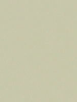 (2613) NL24 - Herringbone Beige - (Mat)