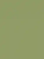 (1967) RM19 - Olive - (Mat)