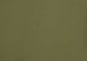Olijfgroen (Mat) - DFC2