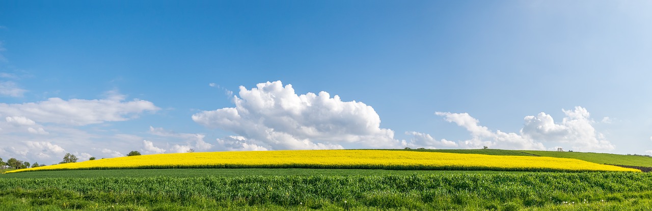 Wij zijn er de hele zomer